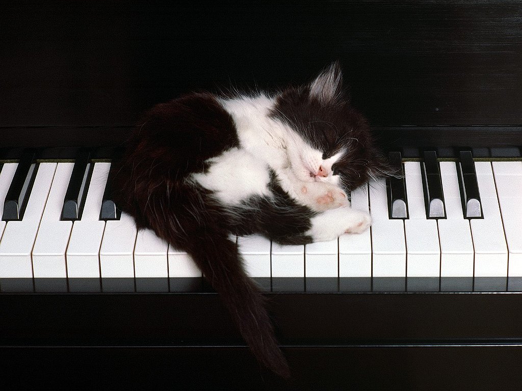 Bed of Ivory